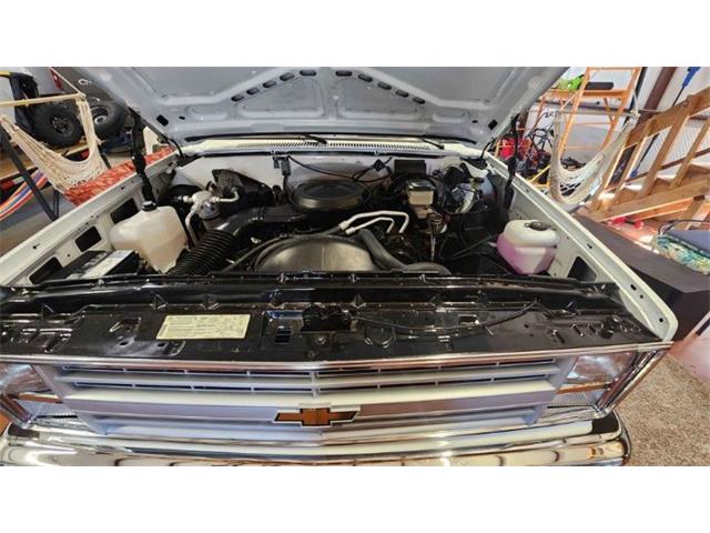 1987 Chevrolet C10 for Sale | ClassicCars.com | CC-1899666