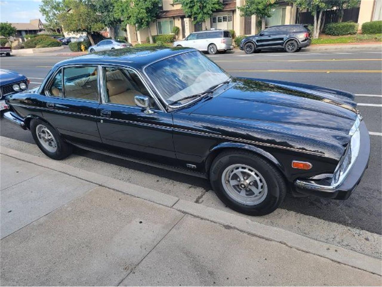 1984 Jaguar XJ6 for Sale CC1899916