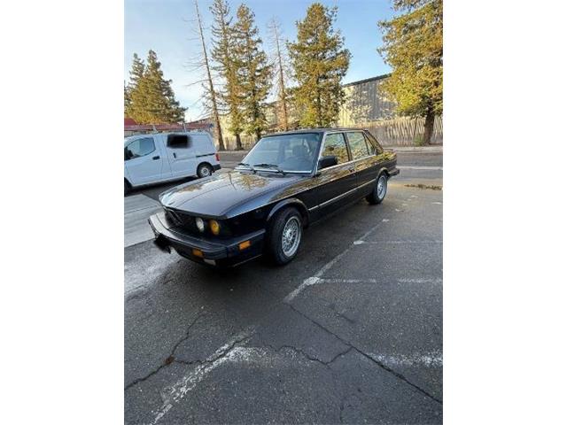 1988 BMW 5 Series (CC-1899963) for sale in Cadillac, Michigan