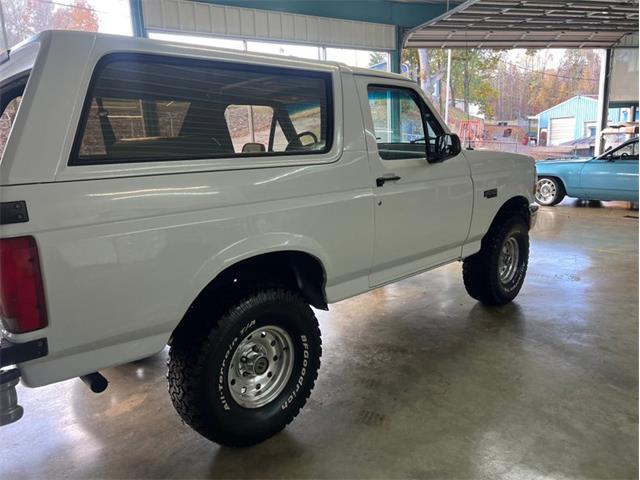 1995 Ford Bronco (CC-1899995) for sale in Punta Gorda, Florida