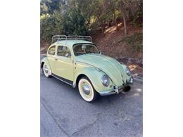 1961 Volkswagen Beetle (CC-1901574) for sale in Cadillac, Michigan