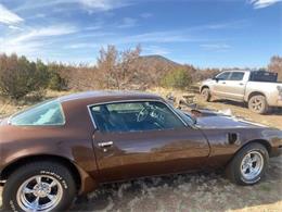 1979 Pontiac Firebird Trans Am (CC-1901668) for sale in Cadillac, Michigan