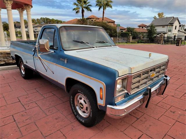 1977 Chevrolet C20 (CC-1901972) for sale in CONROE, Texas