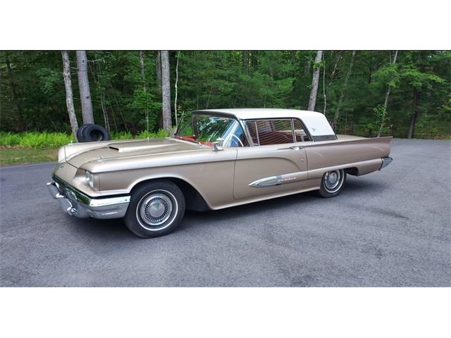 1959 Ford Thunderbird (CC-1902001) for sale in Punta Gorda, Florida