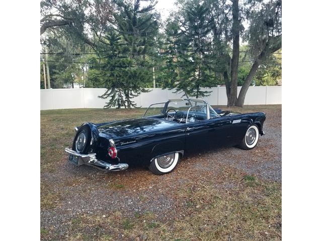 1956 Ford Thunderbird (CC-1902112) for sale in Valrico, Florida