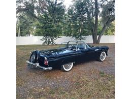 1956 Ford Thunderbird (CC-1902112) for sale in Valrico, Florida