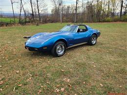 1976 Chevrolet Corvette (CC-1902142) for sale in martinsburg, Pennsylvania