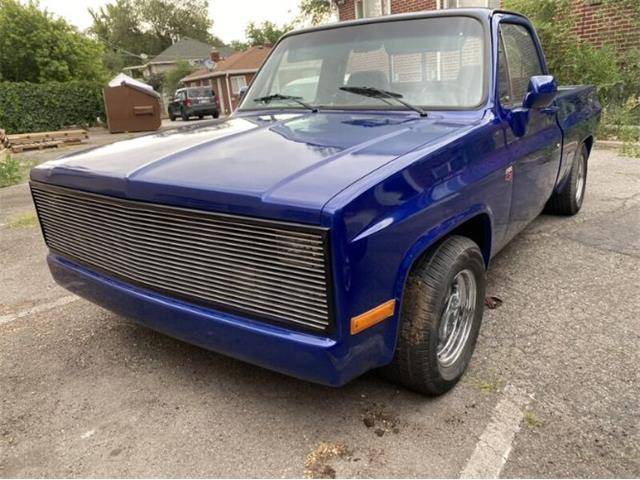 1981 Chevrolet C10 (CC-1900217) for sale in Cadillac, Michigan