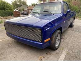 1981 Chevrolet C10 (CC-1900217) for sale in Cadillac, Michigan