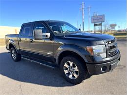 2014 Ford F150 (CC-1902203) for sale in Ramsey, Minnesota