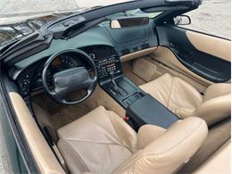 1996 Chevrolet Corvette (CC-1900239) for sale in Springfield, Massachusetts