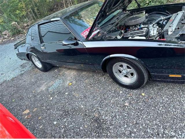 1981 Chevrolet Monte Carlo (CC-1902541) for sale in Cadillac, Michigan