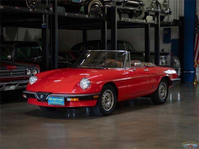 1985 Alfa Romeo Spider (CC-1902592) for sale in Torrance, California