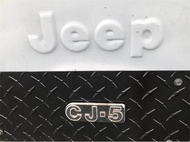1975 Jeep CJ5 (CC-1903026) for sale in Cadillac, Michigan