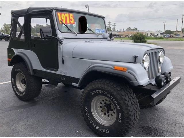 1975 Jeep CJ5 (CC-1903026) for sale in Cadillac, Michigan