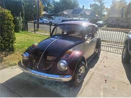 1969 Volkswagen Beetle (CC-1903040) for sale in Cadillac, Michigan