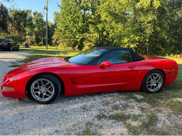 1998 Chevrolet Corvette (CC-1903048) for sale in Cadillac, Michigan