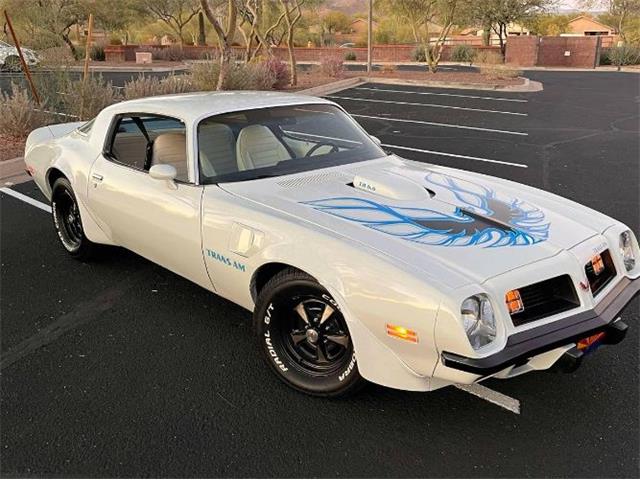 1975 Pontiac Firebird (CC-1903054) for sale in Cadillac, Michigan