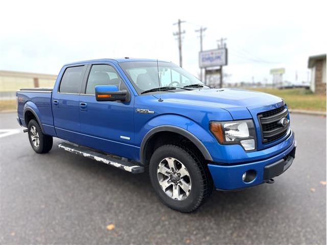 2013 Ford F150 (CC-1903156) for sale in Ramsey, Minnesota