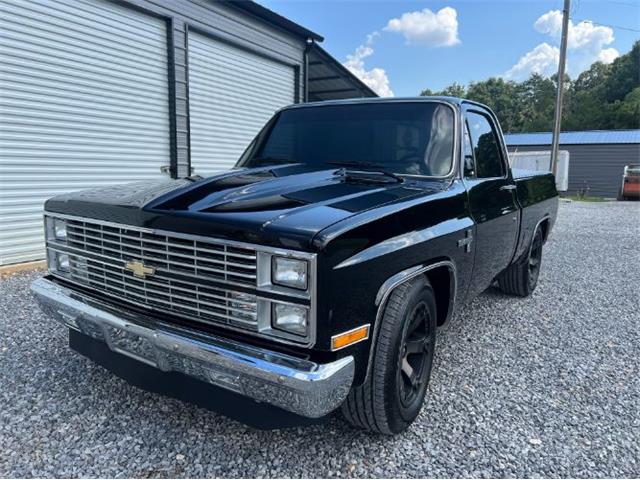 1984 Chevrolet Silverado (CC-1903383) for sale in Cadillac, Michigan