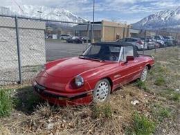 1989 Alfa Romeo Spider (CC-1903397) for sale in Cadillac, Michigan