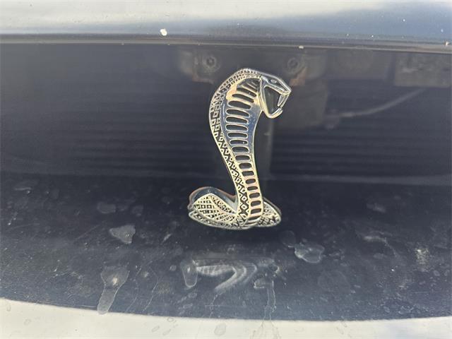 1998 Ford Mustang SVT Cobra (CC-1900343) for sale in waconia, Minnesota