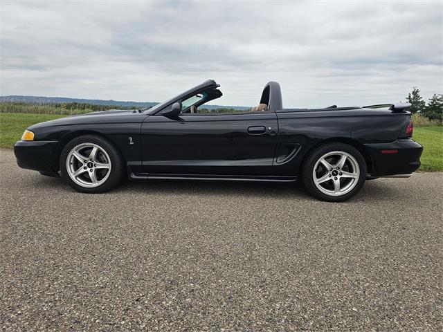 1998 Ford Mustang SVT Cobra (CC-1900343) for sale in waconia, Minnesota