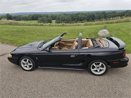 1998 Ford Mustang SVT Cobra (CC-1900343) for sale in waconia, Minnesota