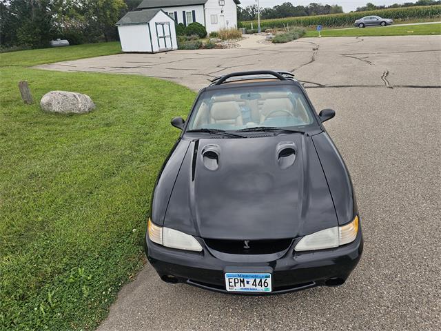1998 Ford Mustang SVT Cobra (CC-1900343) for sale in waconia, Minnesota