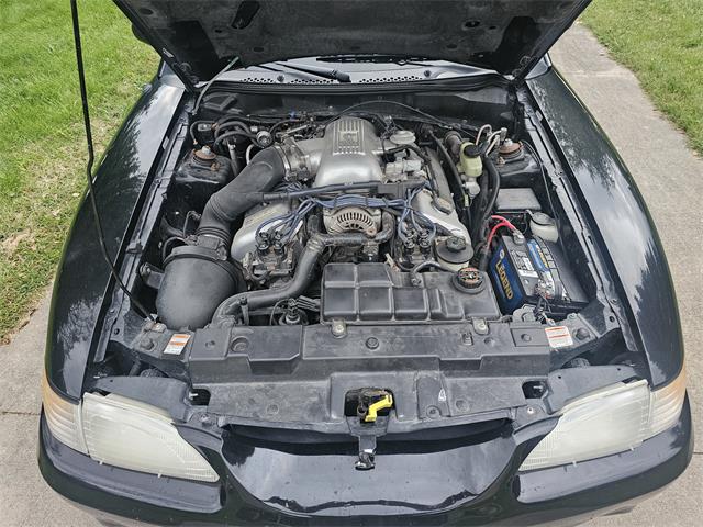 1998 Ford Mustang SVT Cobra (CC-1900343) for sale in waconia, Minnesota