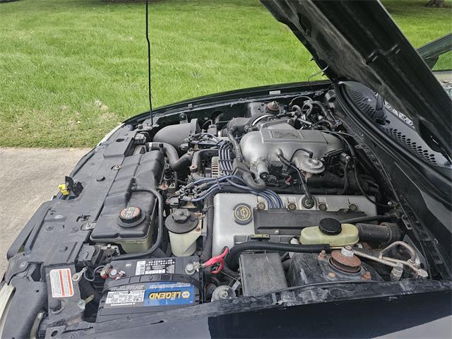 1998 Ford Mustang SVT Cobra (CC-1900343) for sale in waconia, Minnesota