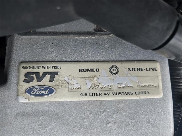 1998 Ford Mustang SVT Cobra (CC-1900343) for sale in waconia, Minnesota