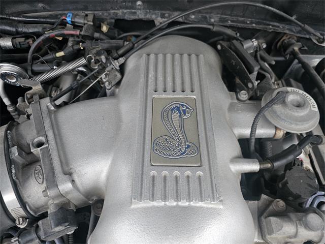 1998 Ford Mustang SVT Cobra (CC-1900343) for sale in waconia, Minnesota