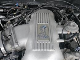 1998 Ford Mustang SVT Cobra (CC-1900343) for sale in waconia, Minnesota