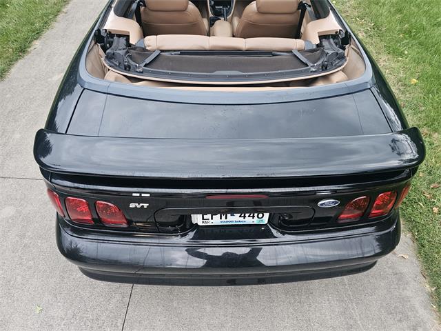 1998 Ford Mustang SVT Cobra (CC-1900343) for sale in waconia, Minnesota