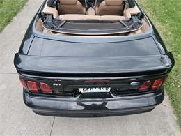 1998 Ford Mustang SVT Cobra (CC-1900343) for sale in waconia, Minnesota