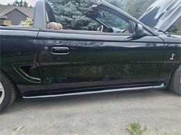 1998 Ford Mustang SVT Cobra (CC-1900343) for sale in waconia, Minnesota