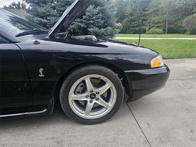 1998 Ford Mustang SVT Cobra (CC-1900343) for sale in waconia, Minnesota
