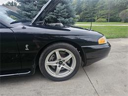 1998 Ford Mustang SVT Cobra (CC-1900343) for sale in waconia, Minnesota