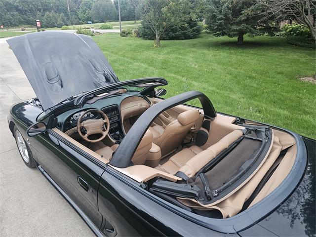 1998 Ford Mustang SVT Cobra (CC-1900343) for sale in waconia, Minnesota