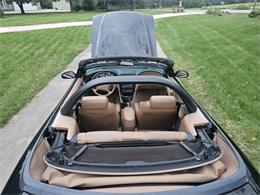 1998 Ford Mustang SVT Cobra (CC-1900343) for sale in waconia, Minnesota