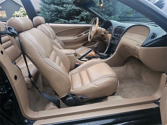 1998 Ford Mustang SVT Cobra (CC-1900343) for sale in waconia, Minnesota