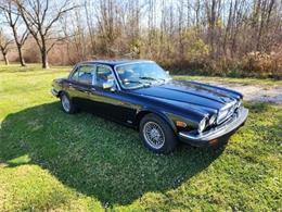 1987 Jaguar XJ (CC-1903642) for sale in Cadillac, Michigan