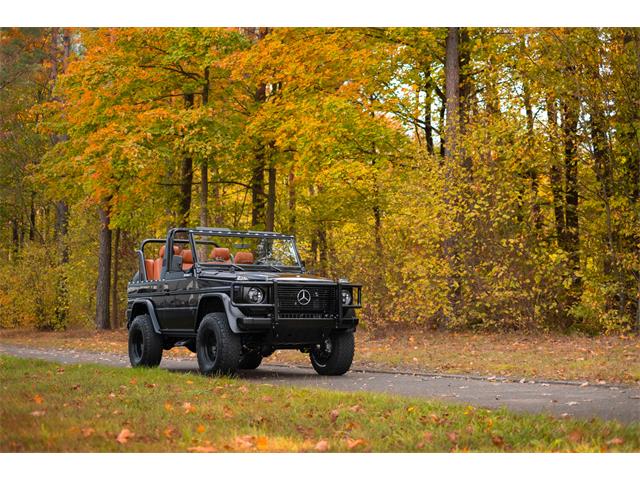 1991 Mercedes-Benz G 500 Classic Cabriolet (CC-1903882) for sale in Frenchtown, New Jersey