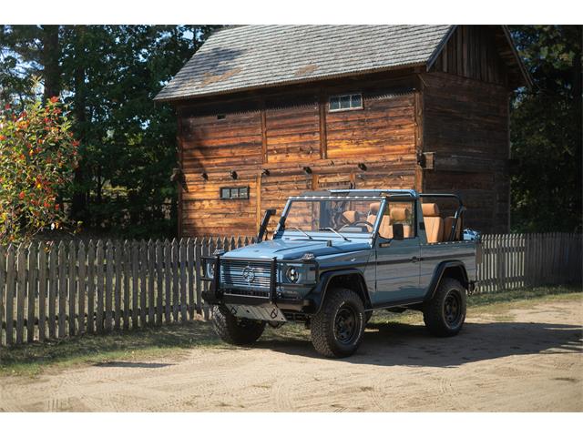 1991 Land Rover Defender (CC-1903884) for sale in Frenchtown, New Jersey