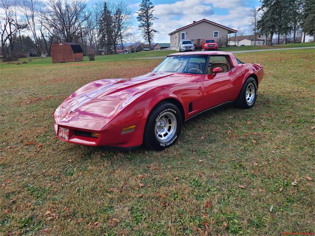 1981 Chevrolet Corvette (CC-1904198) for sale in martinsburg, Pennsylvania