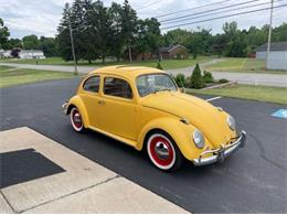 1964 Volkswagen Beetle (CC-1904228) for sale in Cadillac, Michigan