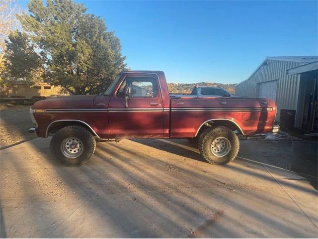 1979 Ford F150 (CC-1904269) for sale in Cadillac, Michigan