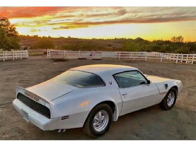 1979 Pontiac Firebird Trans Am (CC-1904293) for sale in Cadillac, Michigan