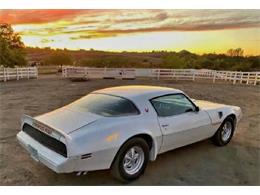 1979 Pontiac Firebird Trans Am (CC-1904293) for sale in Cadillac, Michigan